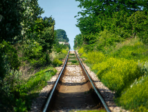 Railroad through the forest